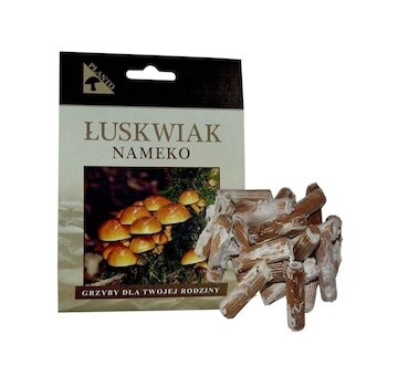 Šupinovka nameko (Pholiata nameko) 20 ks - podhoubí na kolících