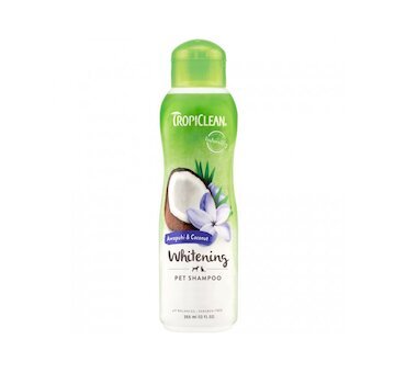 TROPICLEAN šampón zázvor a kokos 355ml