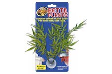 Betta Plant – Bambus
