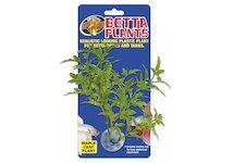 Betta Plant – Javorový list