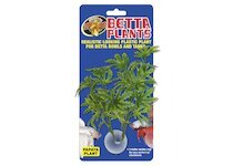 Betta Plant – Papája