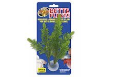 Betta Plant – Šalvěj