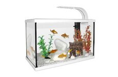CAT-GATO Akvar.Set 40x20x25cm 20L bily