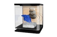 CATGATO Betarium Betta kit sand 2l