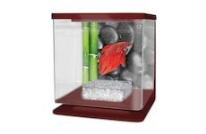 CATGATO Betarium Betta kit stones 2l