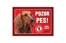 Cedulka Juko JEZEVČÍK hladkosrstý hnědý