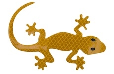 Dekor samolepící GECKO žlutý