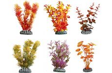 FLAMINGO  akvarijní rostliny mix CUBA XL
