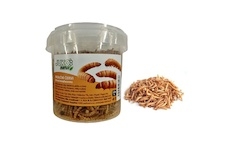 Mouční červi JUKO, dóza 500 ml ( 80g )