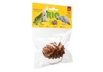 RIO cedrová šiška 1ks