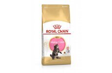 Royal Canin Kitten Maine Coon 10 kg