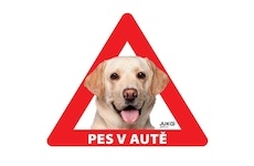 Samolepka pes v autě venkovní LABRADOR ZLATÝ