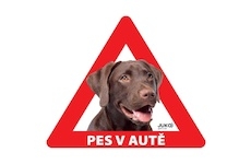 Samolepka pes v autě vnitřní LABRADOR HNĚDÝ
